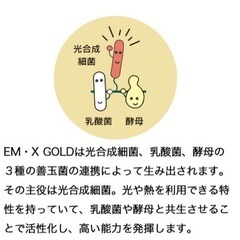 イーエムエックスゴールドEM・X GOLD 500mlの画像