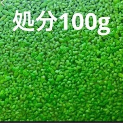 浮き草上げます！