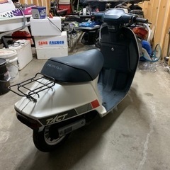 HONDA TACT AF09 スパタク 美車の画像
