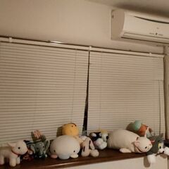 ブラインド