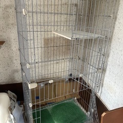 使用古しのキャットゲージです⭐︎幅79✖︎奥行き42✖︎高さ133