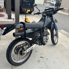  xlr250rの画像