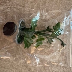 磁石　飯舘村の画像