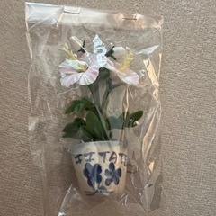 磁石　飯舘村