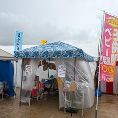 大野みんなのまつり開催中　１５時まで