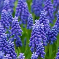 6月9日カラオケやりませんか？【りばいぶ】