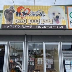 【業務拡大につき、増員！！】