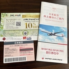 <国内線50%割引>日本航空　株主優待