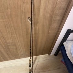 スピニングバスロッド(pe)