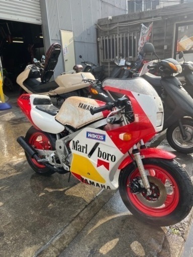 YSR50‼️ ミニバイク‼️ 分割可能‼️ クレジット決済可能‼️ YSR50‼️ ミニバイク‼️ 分割可能‼️ クレジット決済可能‼️ (無