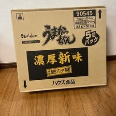 うまかっちゃん 濃厚新味 1ケース