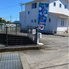 16日やります！めだかすくい&めだか販売