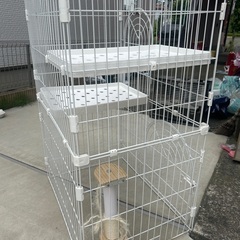 猫ゲージ