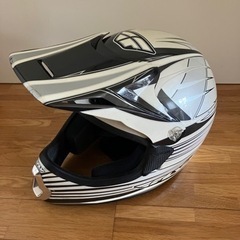フライレーシング　の画像