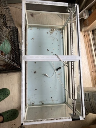 爬虫類水槽90センチ