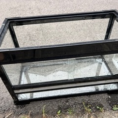 爬虫類水槽60せんち