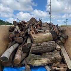 薪用の木