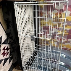 小動物　ゲージ