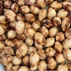 【30粒】さくらんぼ　アメリカンチェリー　種　種子　タネ　の画像