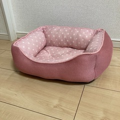 お値下げしました‼️ペットベッドの画像