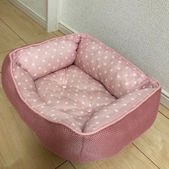 お値下げしました‼️ペットベッドの画像