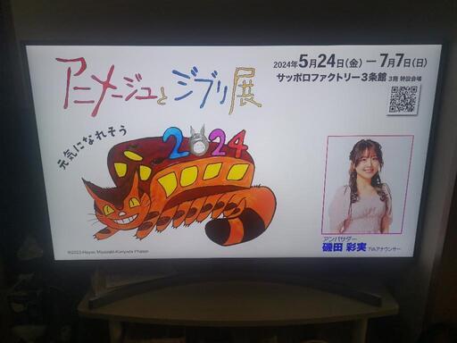 【家電 テレビ】LG社49インチ　49UK7500PJA