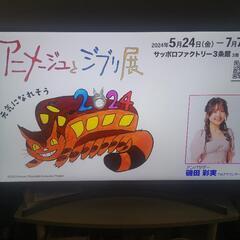 【家電 テレビ】LG社49インチ　49UK7500PJA