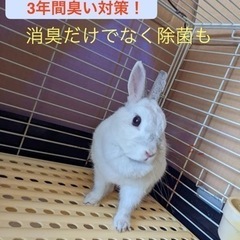 LED除菌脱臭灯カー用品　ペット用品　消臭
