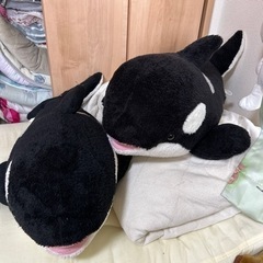 シャチぬいぐるみ
