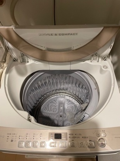 家電 生活家電 洗濯機