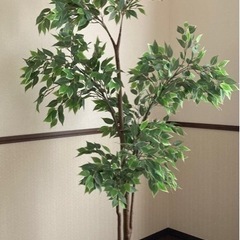 IKEA フェイクグリーン　3200円→2800円の画像