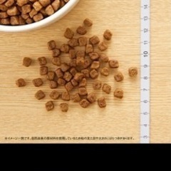 nutroナチュラルチョイス子犬用、母犬、老犬用　超小型～中型犬用　チキン＆玄米6kgの画像