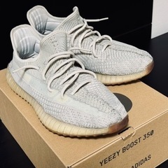 YEEZY BOOST 350  の画像