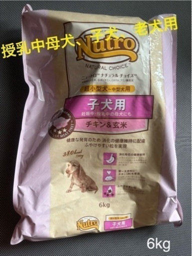 nutroナチュラルチョイス子犬用、母犬、老犬用　超小型～中型犬用　チキン＆玄米6kg
