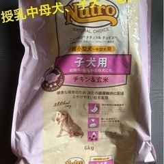 nutroナチュラルチョイス子犬用、母犬、老犬用　超小型～中型犬...