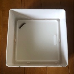 加湿器　七色に光ますの画像