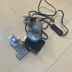 バスキングライト