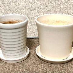 メネデール、さし芽種まきの土、エコポット、植木鉢2種の画像