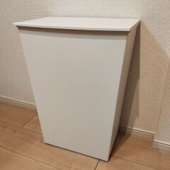 ゴミ箱 ワイド 手開き