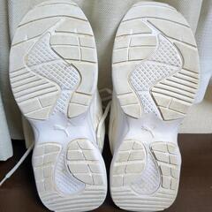 プーマ運動靴23センチの画像