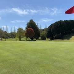 早朝ゴルフ🏌️‍♀️✨