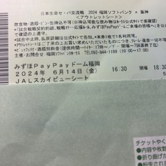 6/14 ソフトバンクホークス×阪神タイガース　JALスカイビュ...