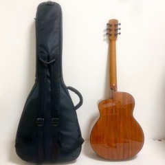 aNueNueFeatherBird aNN-M12アヌエヌエバードギターM12 Amazon | アコースティックギター アヌエヌエ バードギター