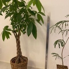生活雑貨 家庭用品 ガーデニング