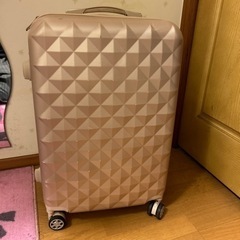 キャリーバック