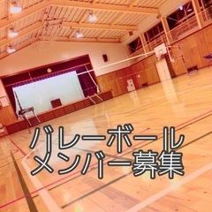 6人制バレーボール メンバー募集