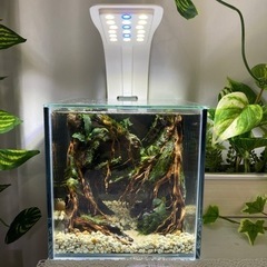 ニッソー　スマートタッチ　LED ライト　水槽用　アクアリウム　テラリウム　の画像