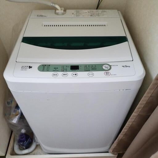 家電 生活家電 洗濯機
