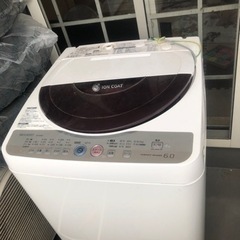 家電 生活家電 洗濯機