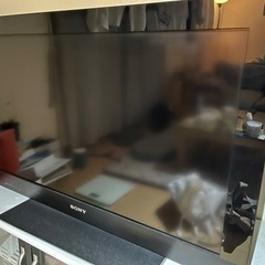 テレビ